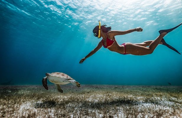 Full day snorkeling guided experience with BBQ lunch in Fujairah