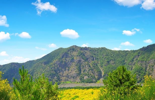 Vesuvius Easy Tour with Transfer from Naples
