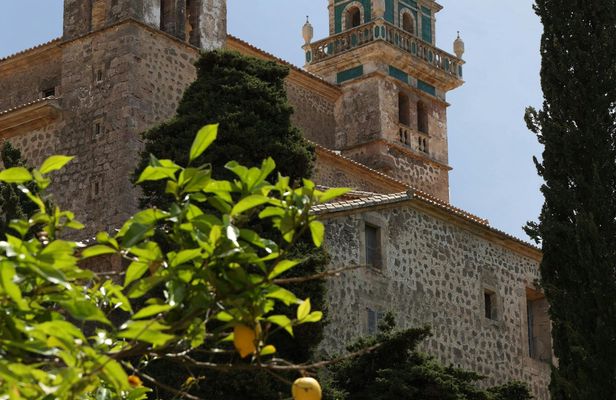 Extra virgin olive oil guided tasting in Valldemossa