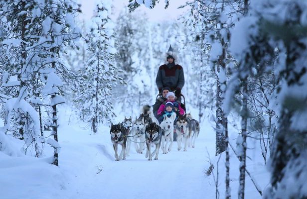 10 km Self-Driven Husky Sled Adventure in Rovaniemi
