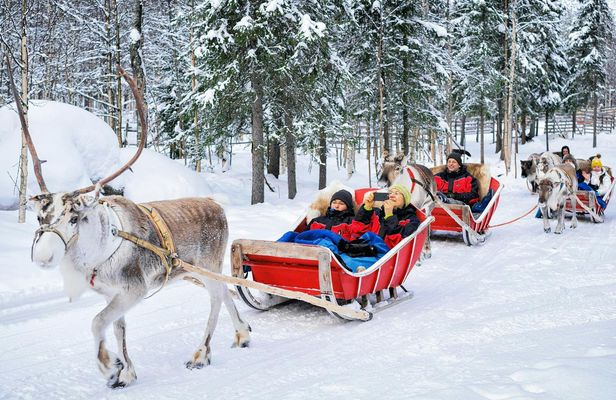 Reindeer Farm Visit Experience in Rovaniemi