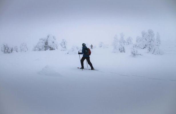 Snowshoeing Guided Tour