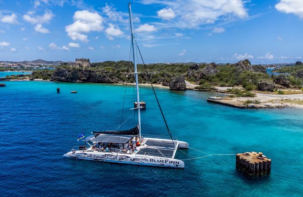 3-in-1 snorkeling trip with BlueFinn catamaran