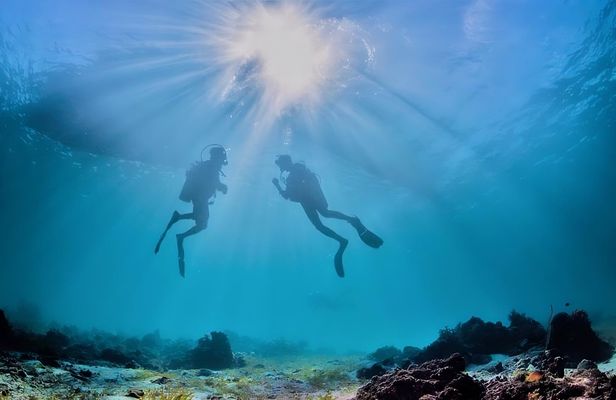 Half-day diving excursion in the Protected Marine Area of Tavolara