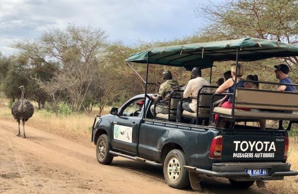 Bandia safari and Baobab adventure from Pointe Sarène