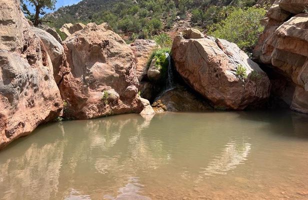 Half-day guided tour to berber Oasis with short trekking