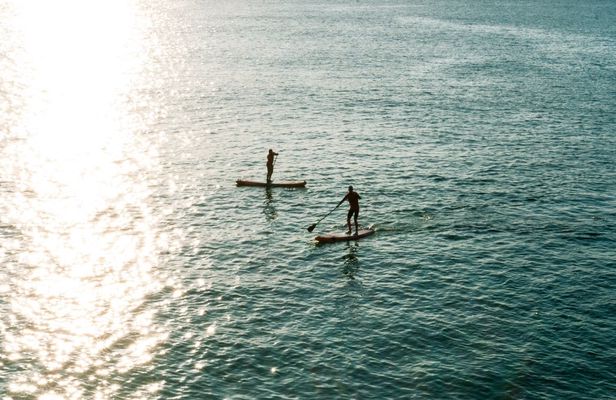 Paddleboard taster and guided tour in Newquay