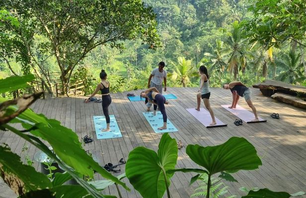 Sunrise yoga, holy bathing and palm reading experience in Bali