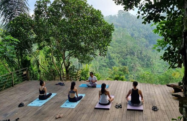 Sunrise Yoga and Meditation Experience in Ubud Jungle