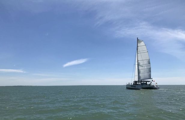 Morning sailing cruise on a catamaran from La Rochelle