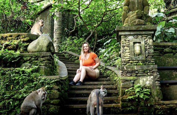 Full-day Ubud highlights tour