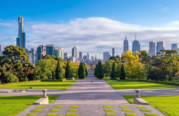 Half-day discovery tour of Melbourne City