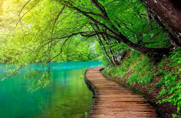 Plitvice Lakes National Park tour from Split