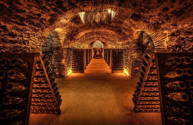 Cellar visit at the Champagne Boizel house and Millésime tasting
