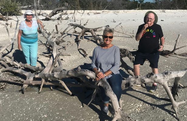 Marco Island dolphin and shelling boat tour