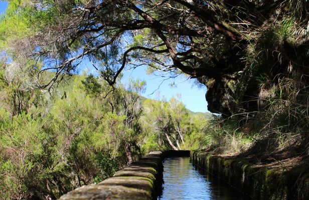 Full-day guided hike along the Levada das 25 Fontes