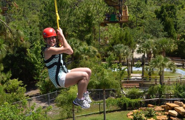 Gator Zipline and Gatorland