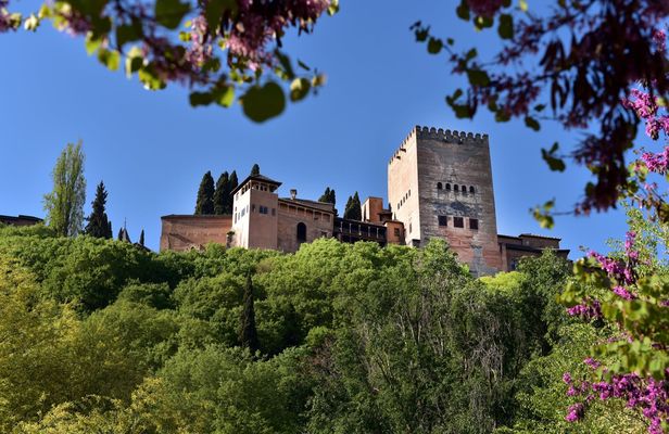Alhambra guided tour and Granada city pass with all entrances