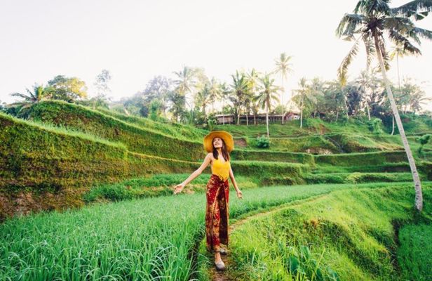 Ubud private highlights tour with pickup