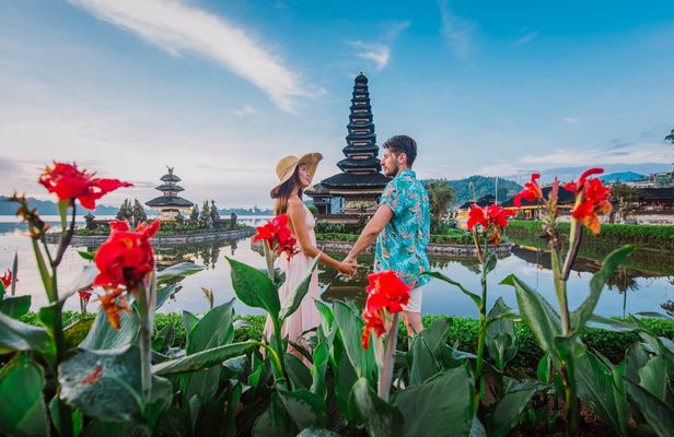 North Bali private 1-day tour