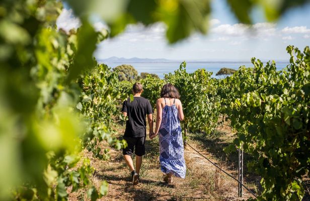 Guided tour around Melbourne Bay with food and wine trail