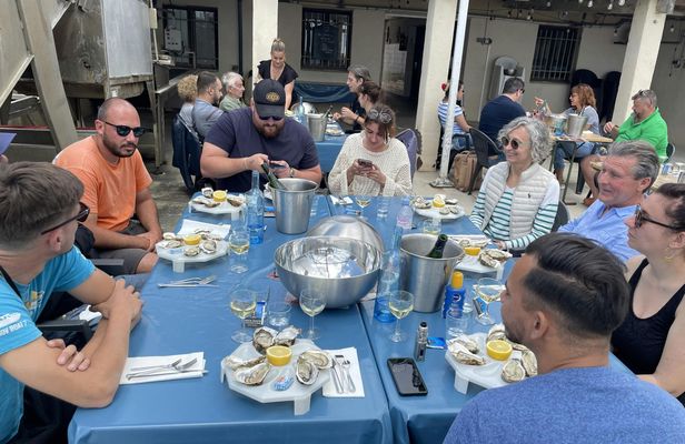 Etang de Thau full-day minibus tour with lunch and tastings