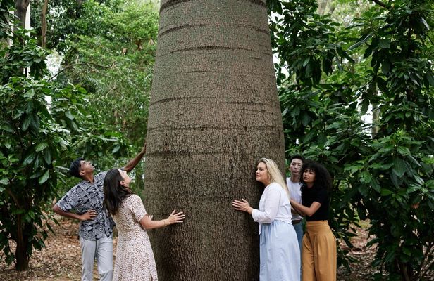 Adelaide Botanic Garden guided tour