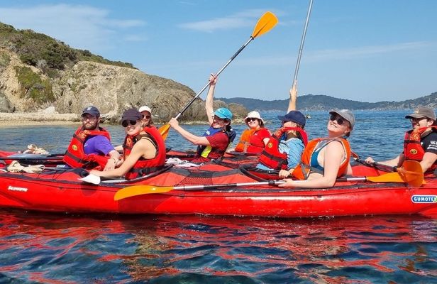 Lunchtime kayak guided tour from Bandol to Calanque