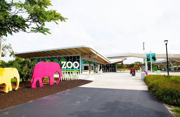 Miami Zoo tickets with transportation