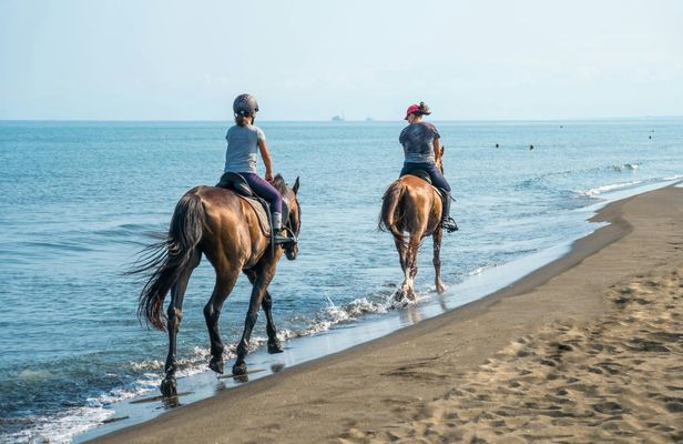 Horseback riding in Giardini Naxos