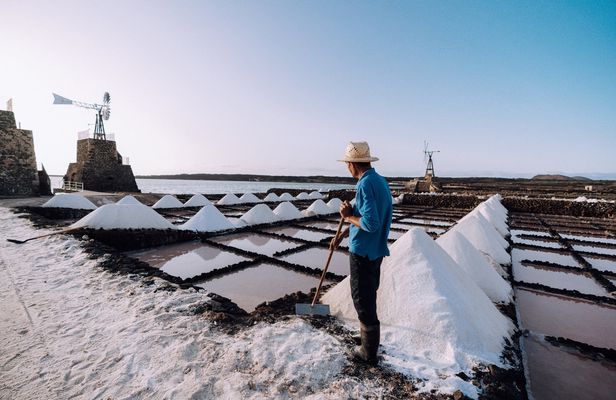 Guided tour to the Salinas de Janubio