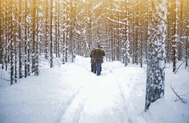 Vikakongas Guided Hiking Tour