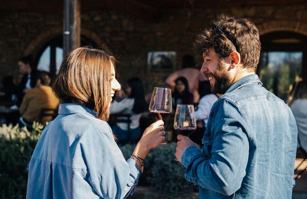 Private wine tasting tour from Florence to Chianti Hills