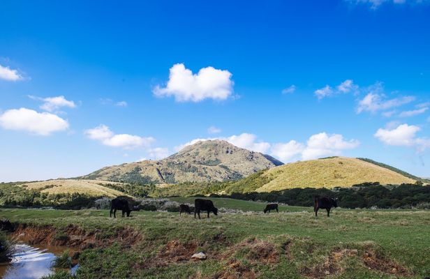 Yangmingshan and Beitou full-day tour from Taipei