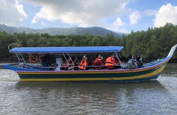 Langkawi mangrove river cruise and snorkeling experience