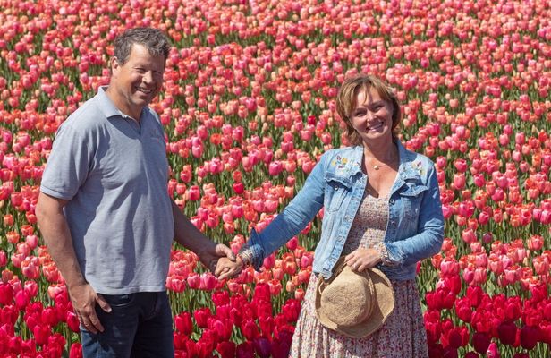 Day Trip to Keukenhof, Tulip Farm and Windmill Cruise
