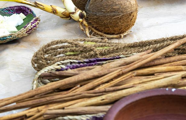 Sri Lankan agro village traditions tour from Bentota region
