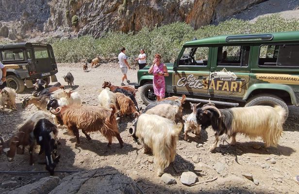 Agiofarago and Matala beach private tour