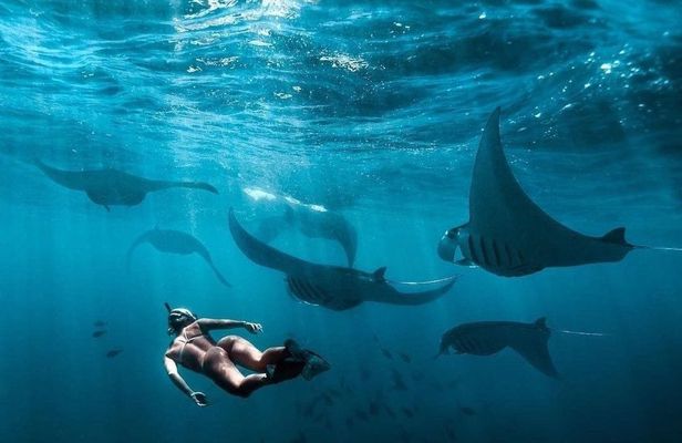 Private Nusa Penida all-inclusive snorkeling adventure
