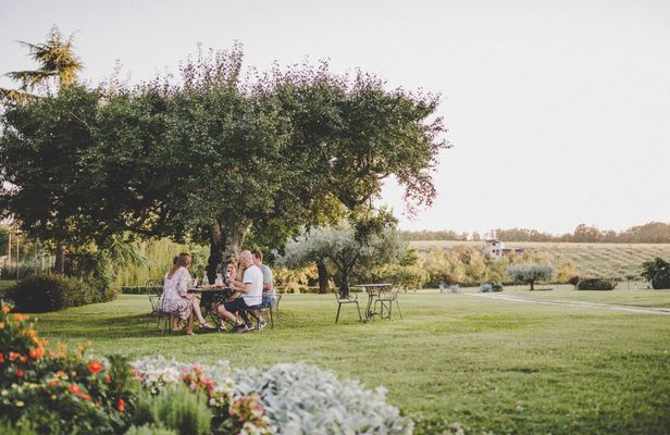 Authentic Istrian family farm guided walk with food and wine