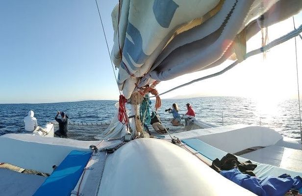 Lanzarote sunset cruise with dolphin watching