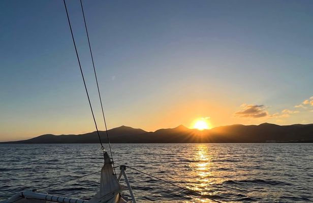 Lanzarote Sunset Dolphin Spotting Catamaran Cruise