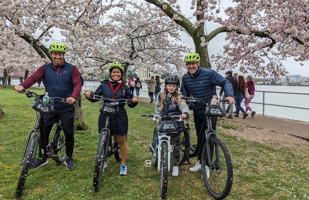 Cherry Blossom Festival guided bike tour in Washington DC