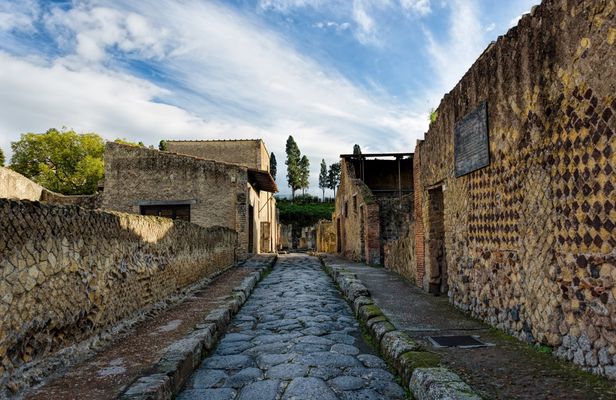 Vesuvius and Herculaneum transfer and entrance tickets from Pompeii