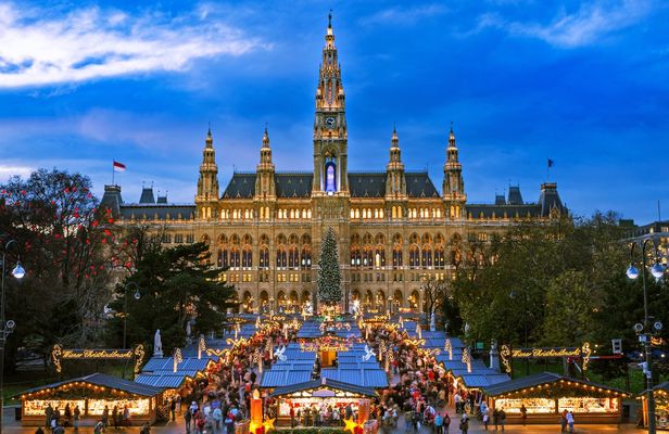 Vienna Christmas Market tour with a local