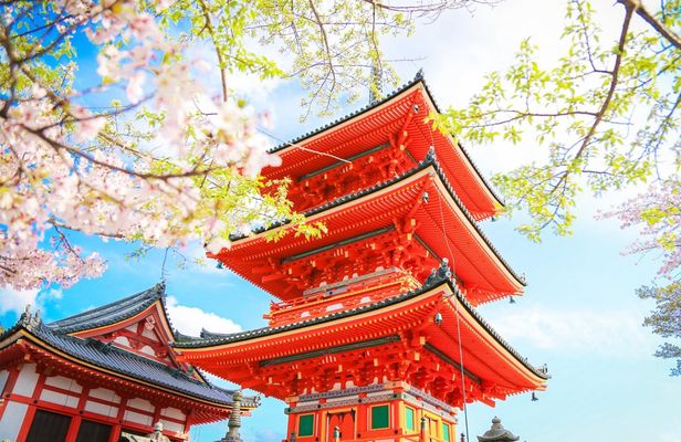 1-day tour to Kyoto and Nara Park from Osaka