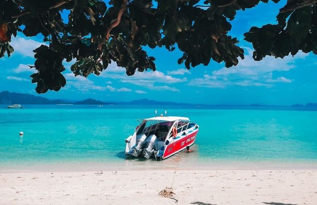 Phi Phi Islands snorkel tour by speed boat from Koh Lanta