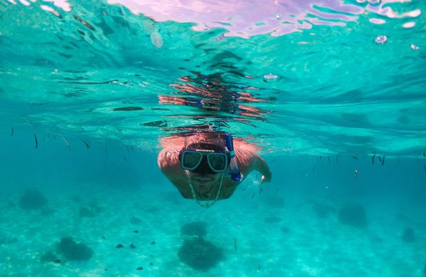 Pamilacan Island guided excursion from Bohol