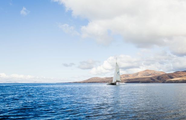 Private sunset cruise with dolphin watching in Lanzarote