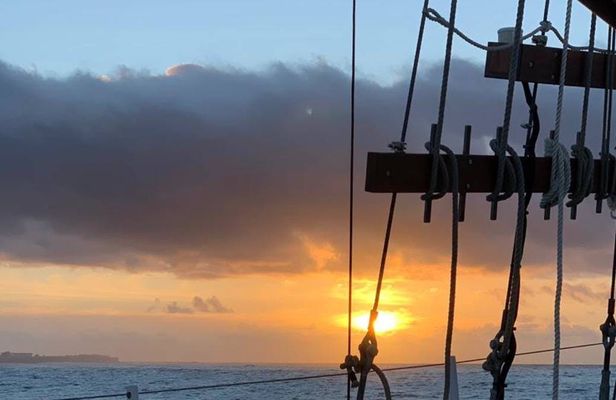 90-minute Cruise and Dinner in Cape Town